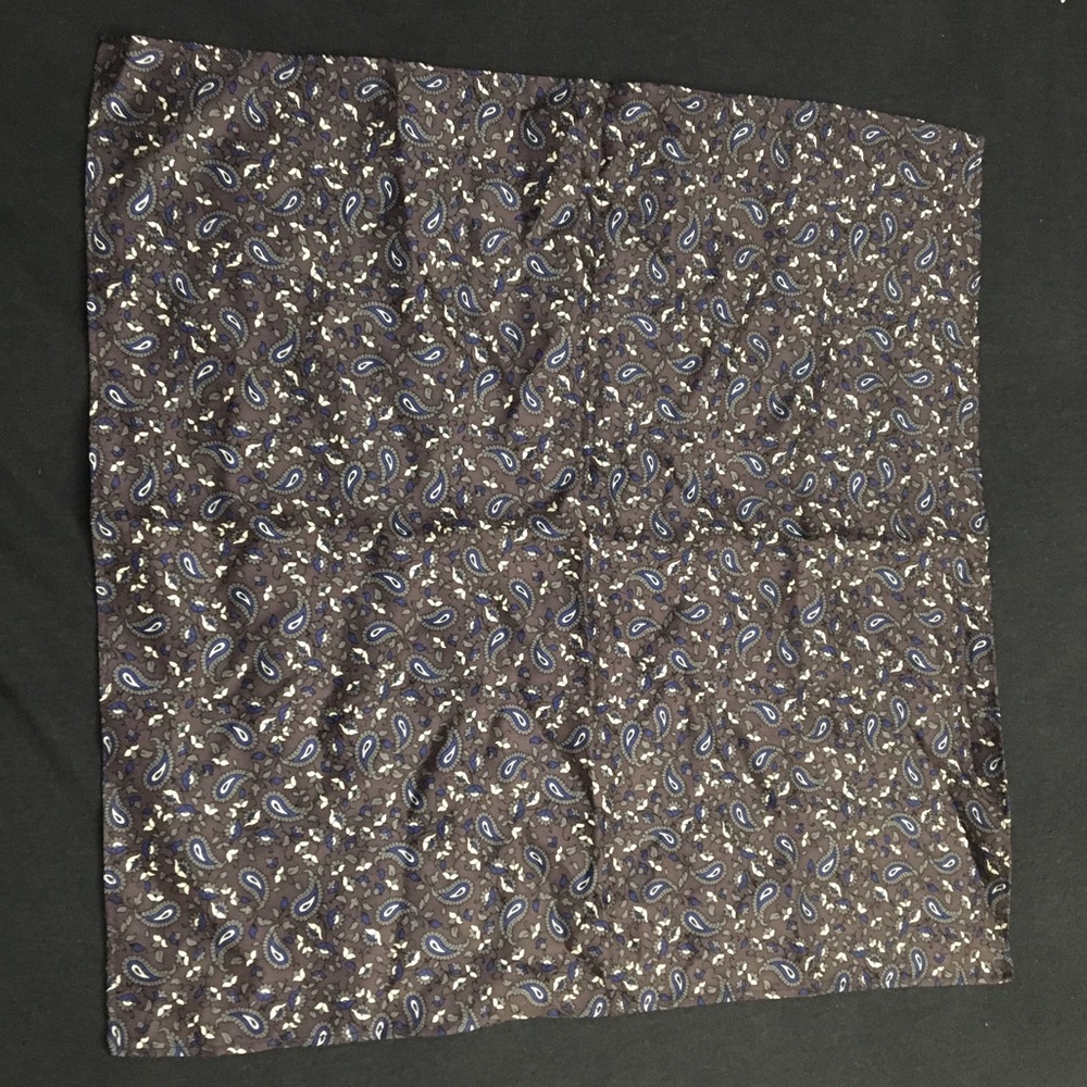 Mens paisley pocket square